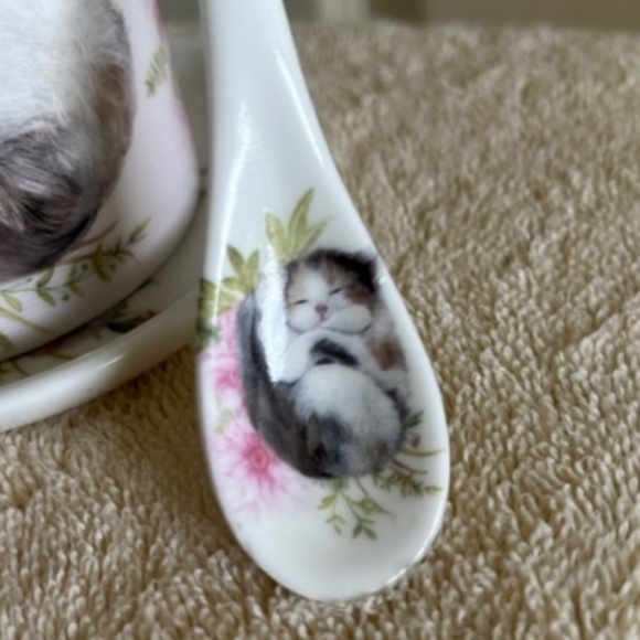 Adorable Kitten/Floral cup and saucer set - Picture 6 of 11